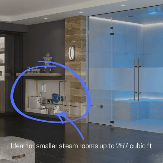 Mr. Steam CT9E 9kW stainless steel commercial steam generator with AromaSteam and autoflush system