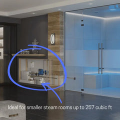 Mr. Steam CT9E 9kW stainless steel commercial steam generator with AromaSteam and autoflush system