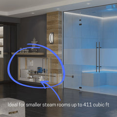 Mr.Steam CT12E Commercial Steam Generator 12kW in sleek stainless steel, featuring AromaSteam and autoflush system.