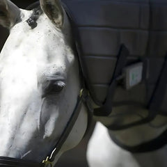 OMI Equine PEMF Full Package for Horses by Oxford Medical Instruments, featuring therapy coils and device controls