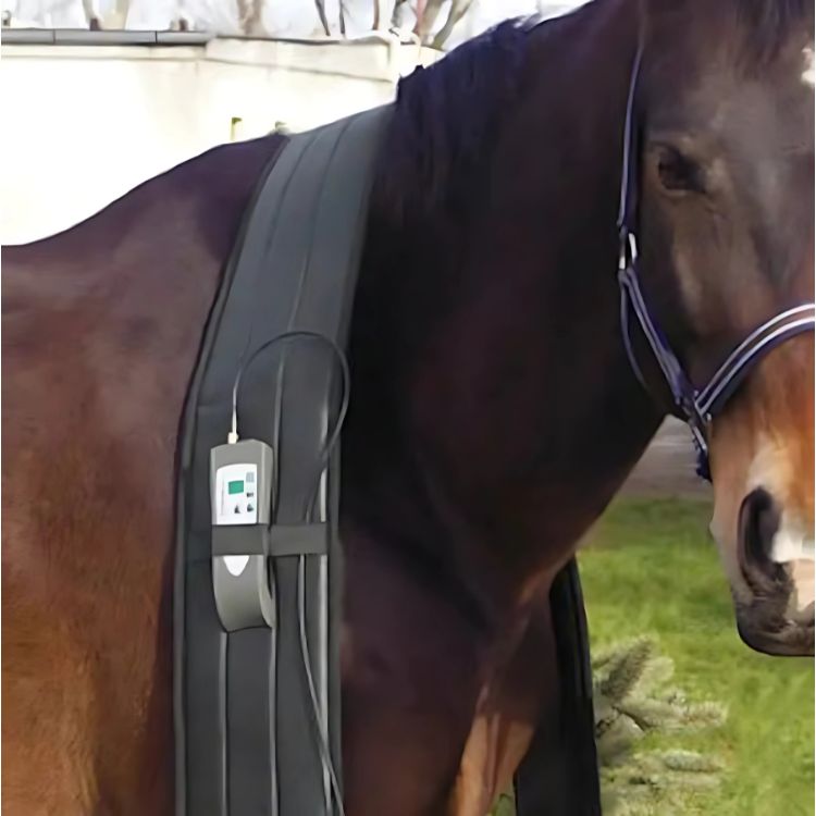 OMI Equine PEMF shoulder band for horses, adjustable, durable fabric in black for therapy and support.