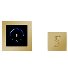 ThermaSol MicroTouch Control (Recessed, Square) + Steam Head Kit (Square)