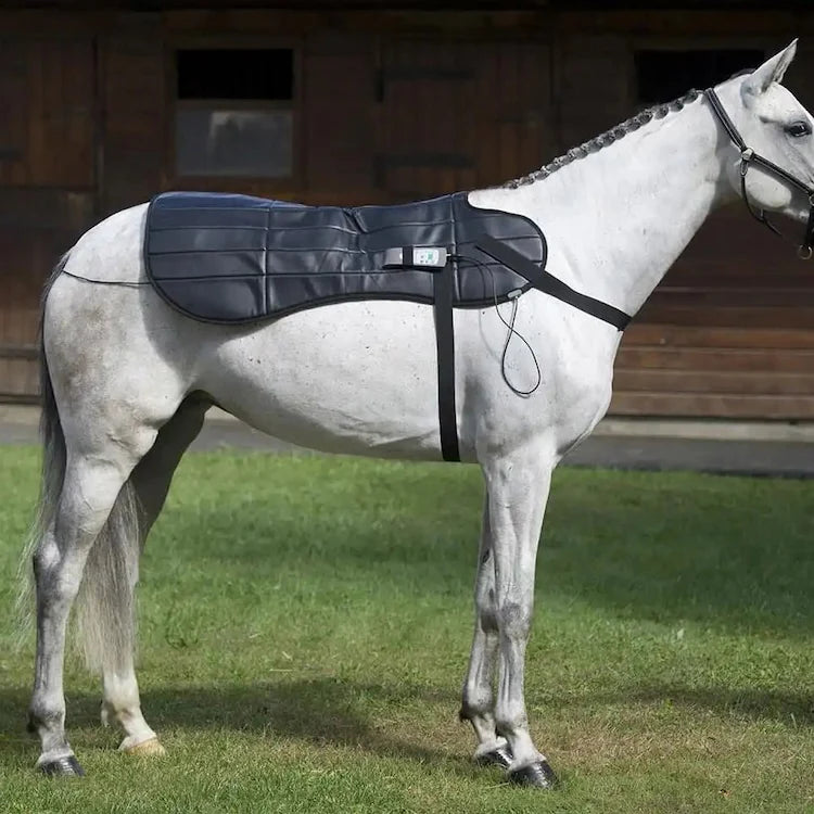 OMI Equine PEMF Full Package for Horses with various electrodes and a portable device