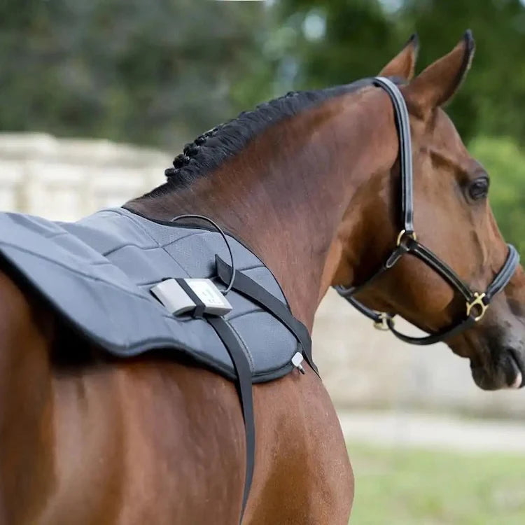 OMI Equine PEMF blanket in navy blue for horses, featuring electromagnetic therapy panels for equine health.