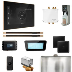 Steam shower package featuring Mr. Steam Bliss Max Linear generator, iSteamX control, and black face color with polished chr