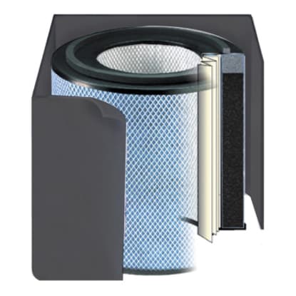 Austin Air HealthMate Filter Replacement