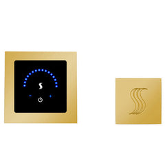 ThermaSol MicroTouch Control (Recessed, Square) + Steam Head Kit (Square)
