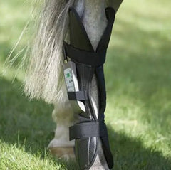 OMI Equine PEMF Rear Leg Wrap for Horses